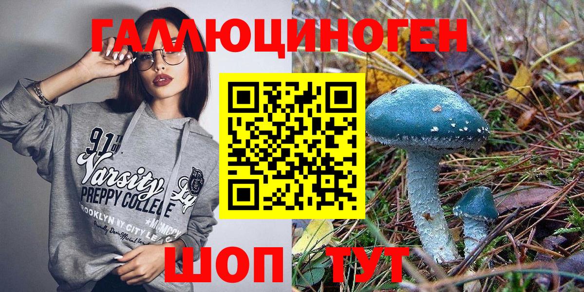 Россия  как найти закладки  Вход с VPN  Псилоцибиновые грибы мицелий 